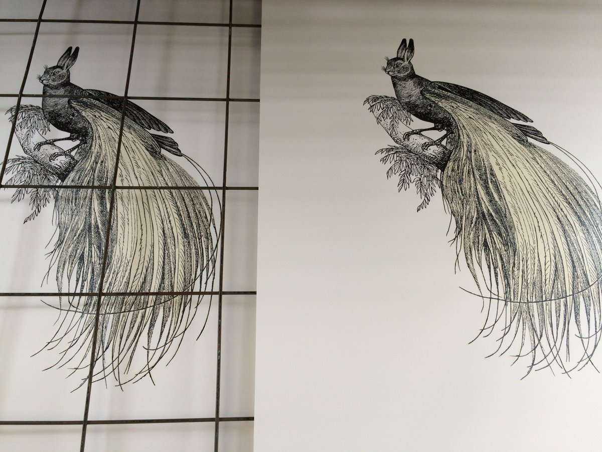 Lovely day in the studio printing, new work on its way!