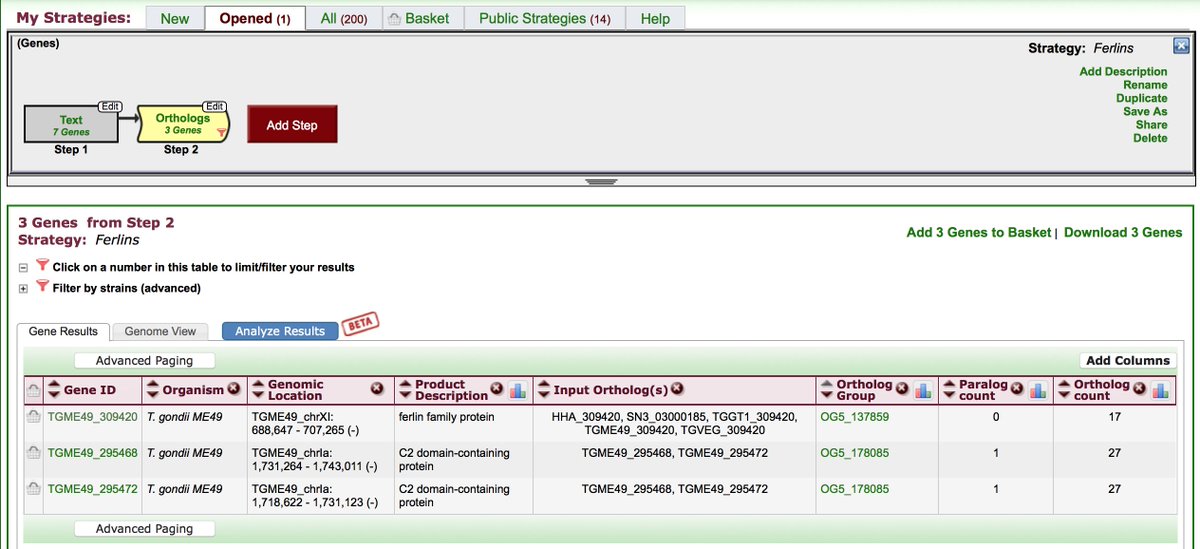 veupathdb's tweet image. Check out this search strategy in #ToxoDB identifying Ferlins #mpm2016 toxodb.org/toxo/im.do?s=b…
