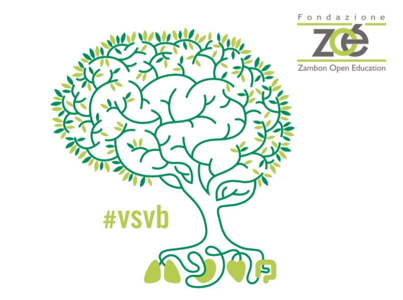 Fondazione_Zoe's tweet photo. Ritorna "Vivere sani, Vivere bene" L’ottava edizione della rassegna è dedicata a “La mente in salute” #vsvb #Vicenza https://t.co/JcbO9sEx8L