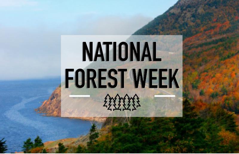 It’s #NationalForestWeek! Get ready learn about the value &amp; renewability of Canada’s amazing #forest resource!