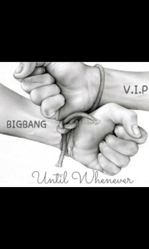 raikanfangirl96's tweet photo. I'm a VIP and I Respect BIGBANG's Privacy! BIGBANG & VIP Stronger Together Until Whenever 👑 #respectbigbang https://t.co/MTlKo0rWIM