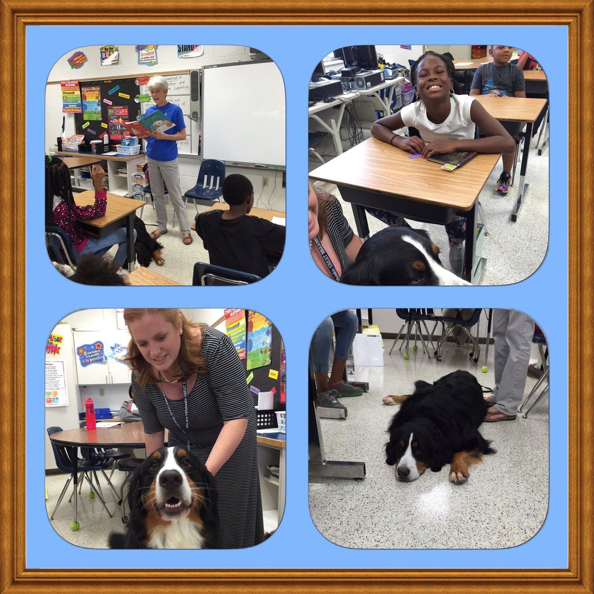 Wilson1Sheila's tweet photo. Peyton got pooped while helping us with our questioning. #criticalthinkers #higherorderquestions #seatackaada https://t.co/sWEvV17dK6