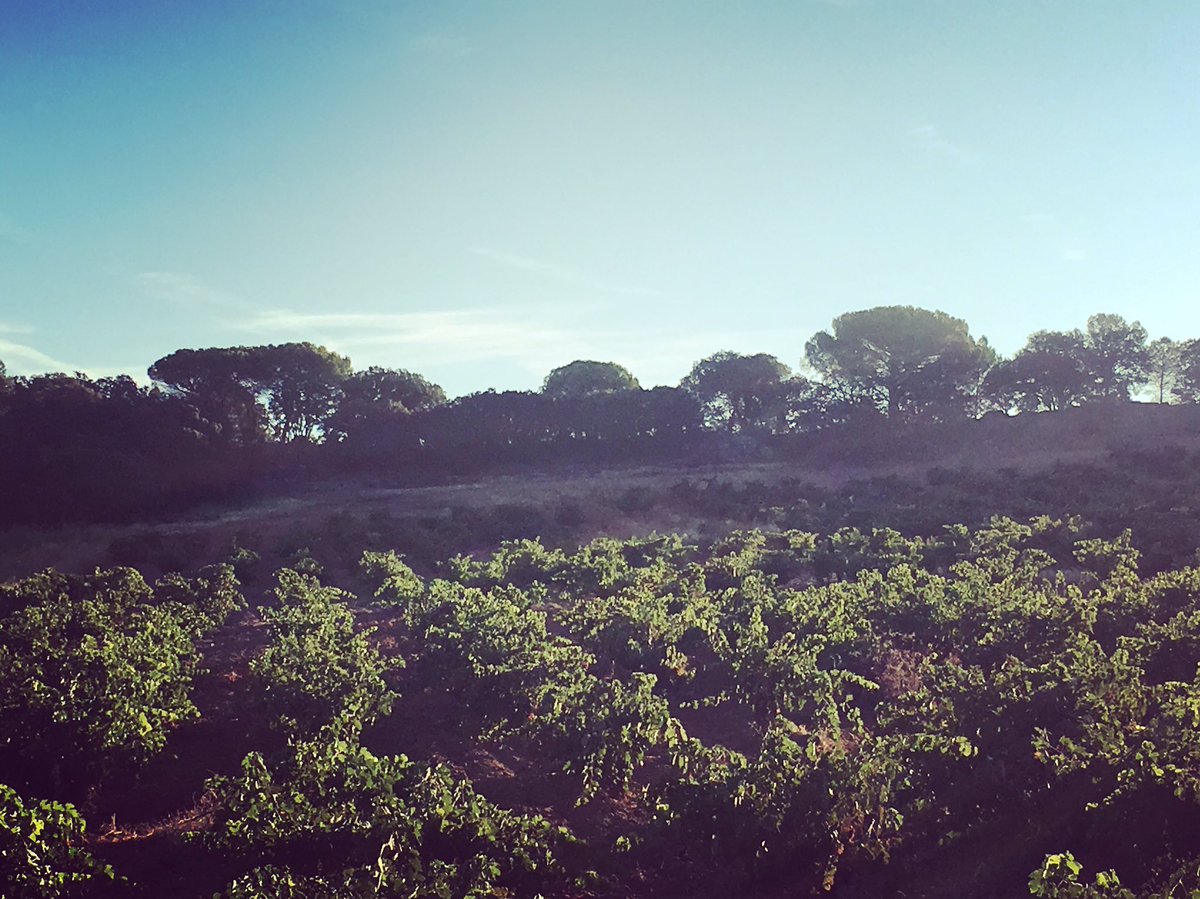 grblanco's tweet photo. We are grateful to have you with us (Sarah and @dfbowler)and to be able to show you our work.Thks! @DavidBowlerWine https://t.co/T4uPeW2aRZ