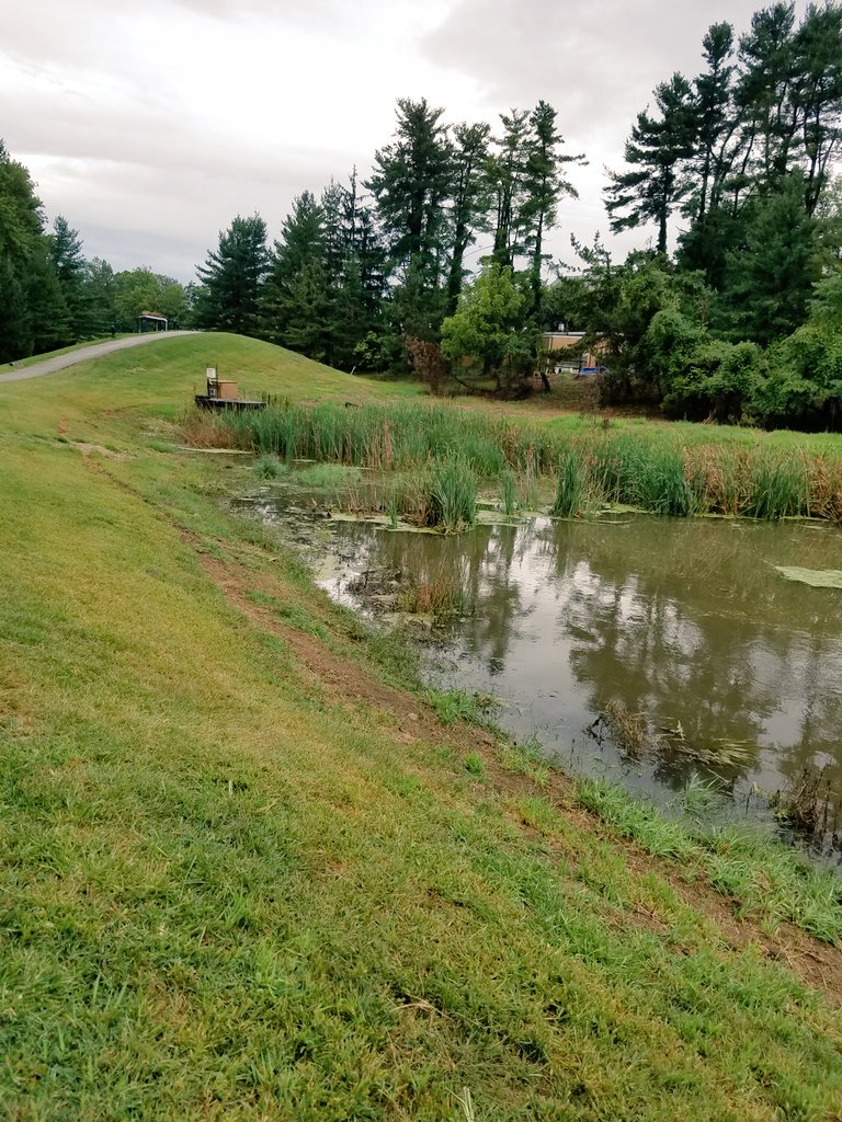 VCRWSteam's tweet photo. Checking out our sites after the large storm! #CSW #wetlands #ITRetrofit #jellyfishfilter #VUSP #Contech https://t.co/nxEfIUKnlo