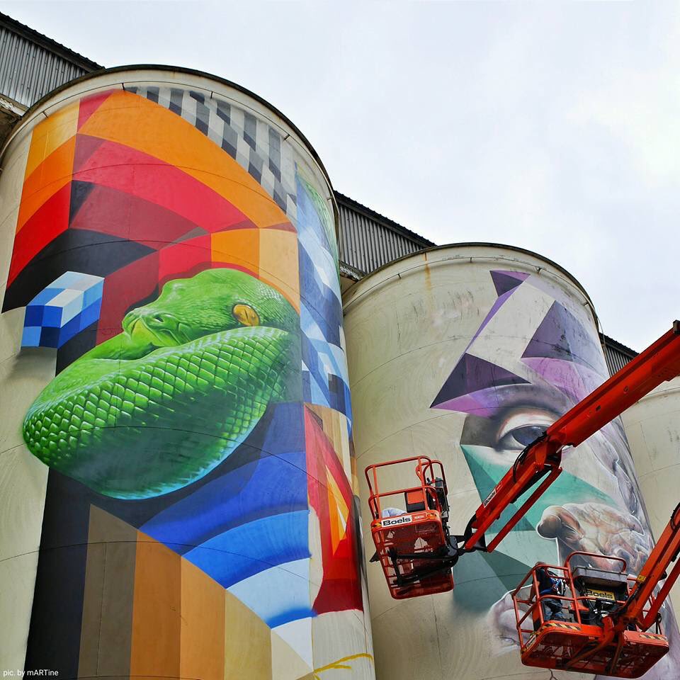 Mr. June tweet media