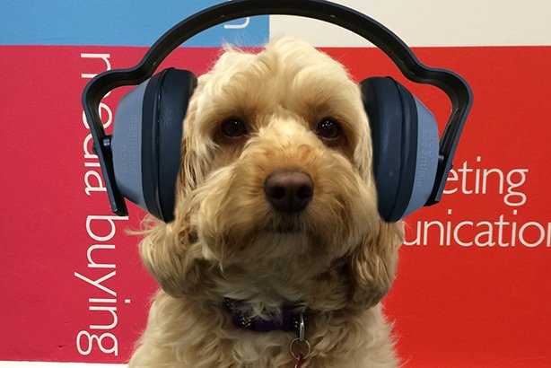 prweekuknews's tweet photo. Revealed – Inside the dog-eat-dog world of PR pets: https://t.co/Gk5LxRIAge #pr #comms #PROfficePets https://t.co/xstyrhMp4A