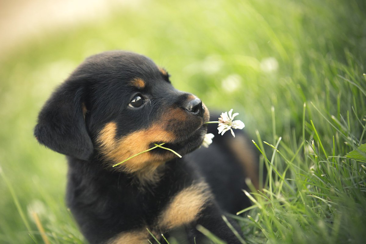 Happy Birthday, my friend <a href="/meadowsryke/">Ryke Meadows</a> I've found another baby photo of you. You're welcome 🌼