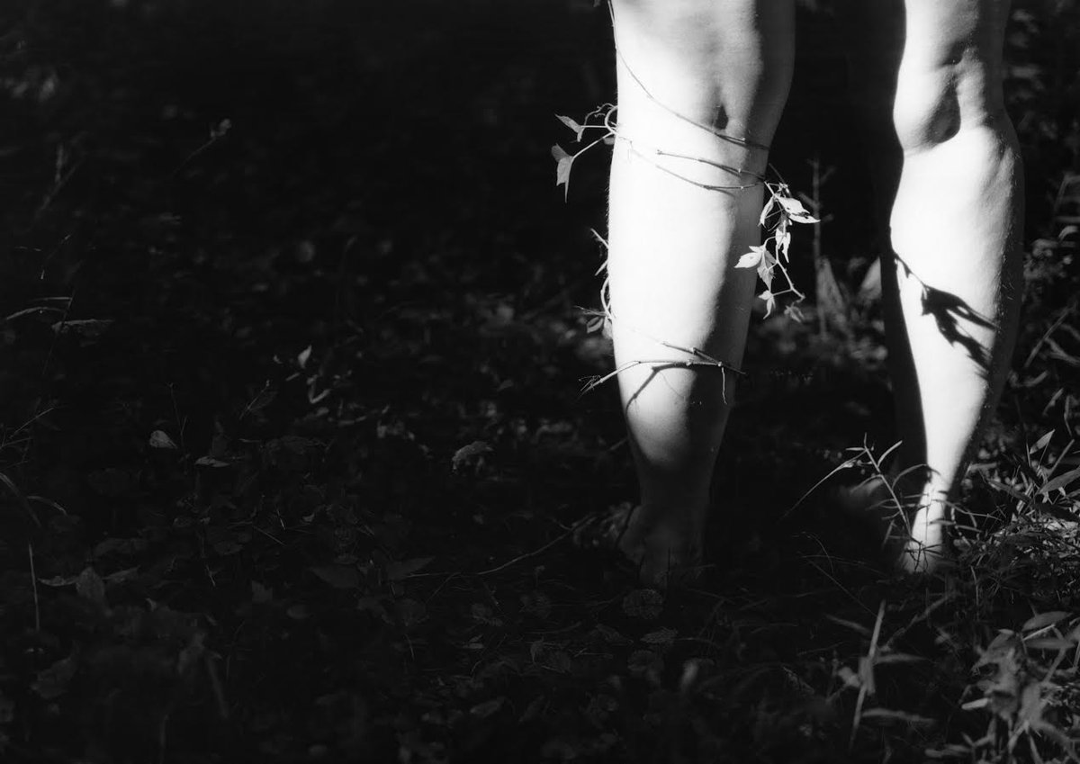 jettisonmag's tweet photo. From "Feral Temptation," by Kelsey Dillow. https://t.co/6ZtFKxODYc