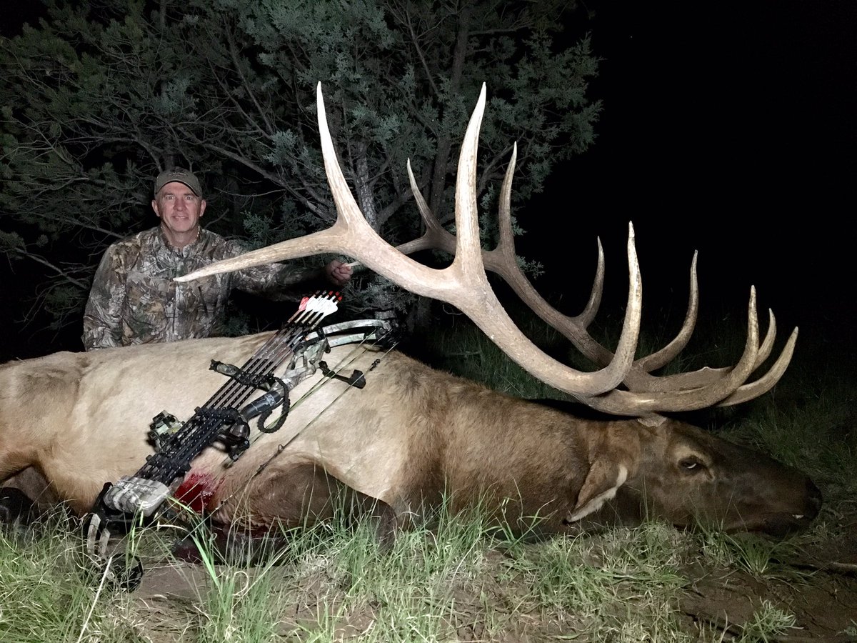 DB_Realtree's tweet photo. Awesome hunt in NM w Trophy Ridge Outfitters! In spite of a slow rut so far. Very fortunate @Realtree @BearArchery https://t.co/KQZO8n2xhO