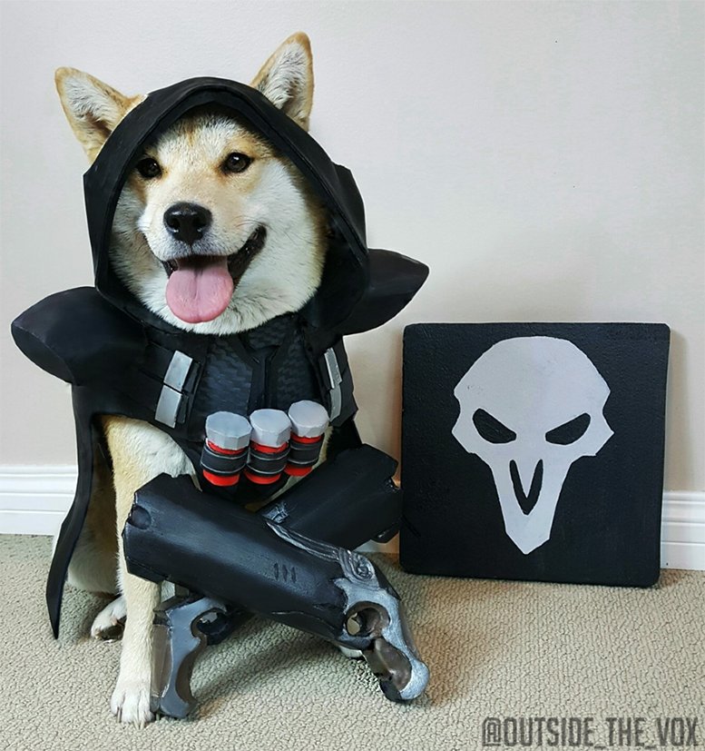 Reaper Doge #Overwatch
