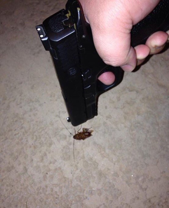 I swear some of y'all tweet me the dumbest shit. Stop buggin me. https://t.co/tibb9J4Qqn