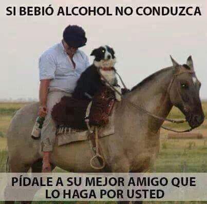 CruzSacra's tweet photo. #TerapiaDeRisas. Espero les guste. Desde Argentina https://t.co/M4fHZXhRB8