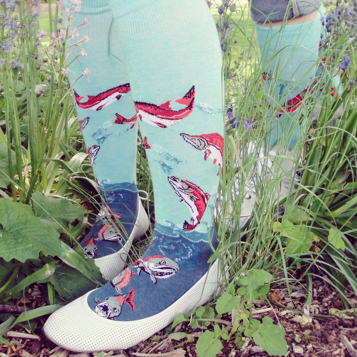 ModSocks's tweet image. Don't give up – your goals are just a little farther upstream. #keepswimming #mondaymotivation #salmon #socks #socksoutmonday