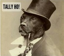 SouthBarkSD's tweet photo. Adult Dog Training Class starts on Saturday at 9am.
#SouthBarkDogWash #SpreadTheBlueberryLove #BlueberryFacial https://t.co/dXGyeoYZzB