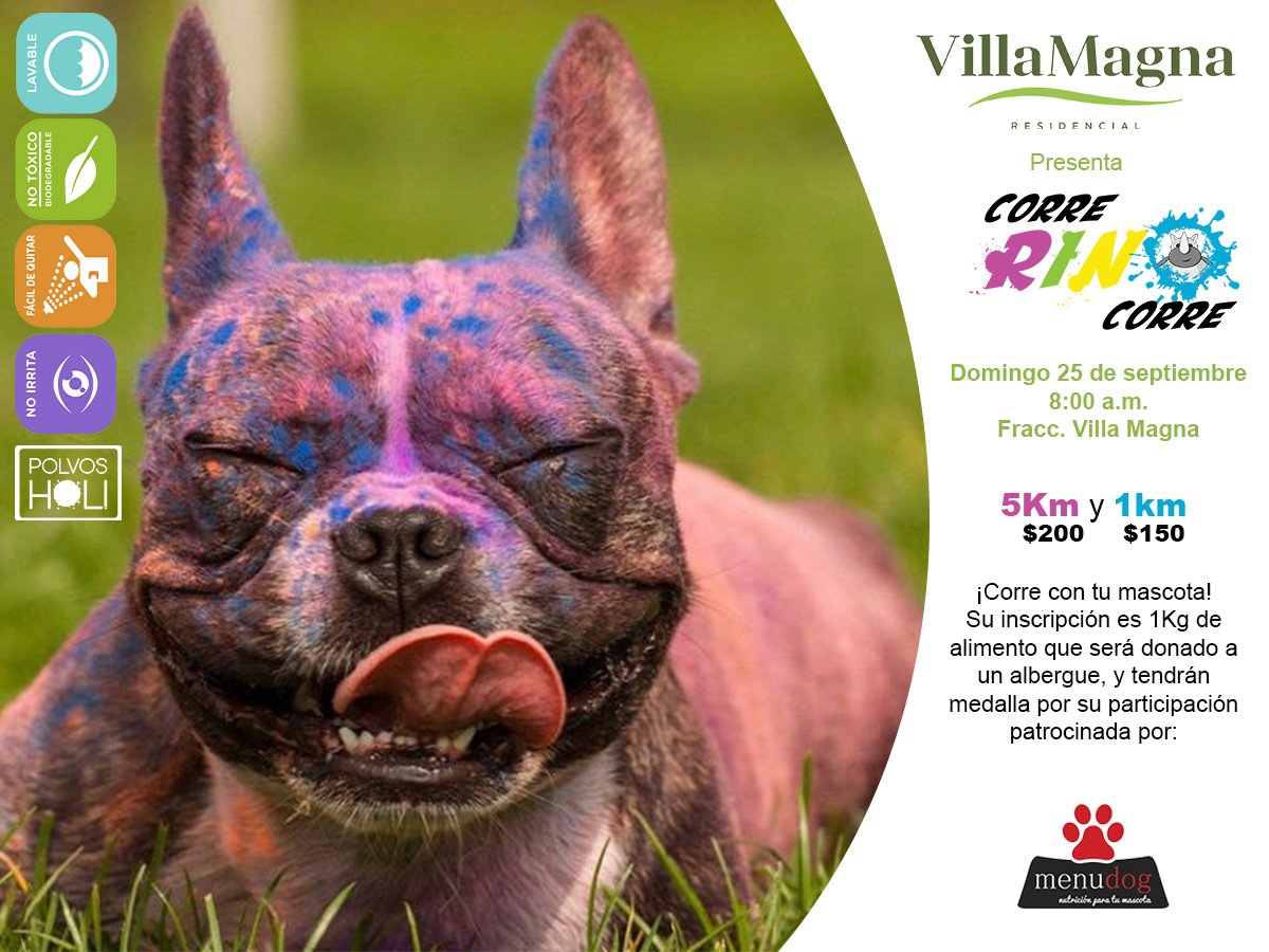 rinoqfundacion's tweet photo. #ColorRun #CarreraColors #CorreRinoCorre $200 (5Km) y $150 (1Km) domingo 25 sept. 8am #SLP Fracc.#VillaMagna ;) https://t.co/NaB7plwGKY