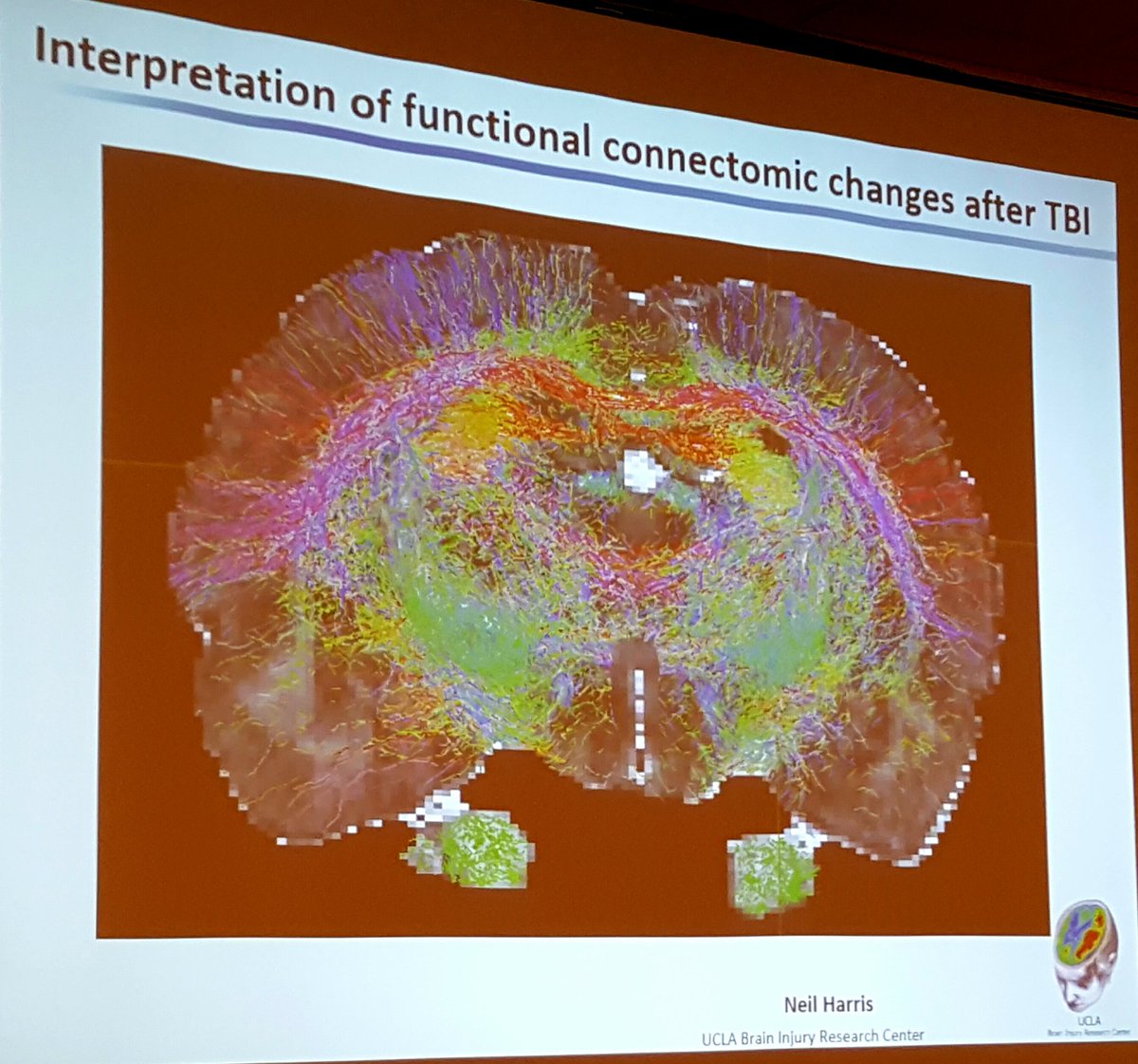 griz1's tweet photo. #DrNeilHarris looking at connectivity after experimental #TBI! @UofCalifornia @Neurotrauma #UCNT16 @BIRC_at_UCLA https://t.co/JO2iWfvh9h