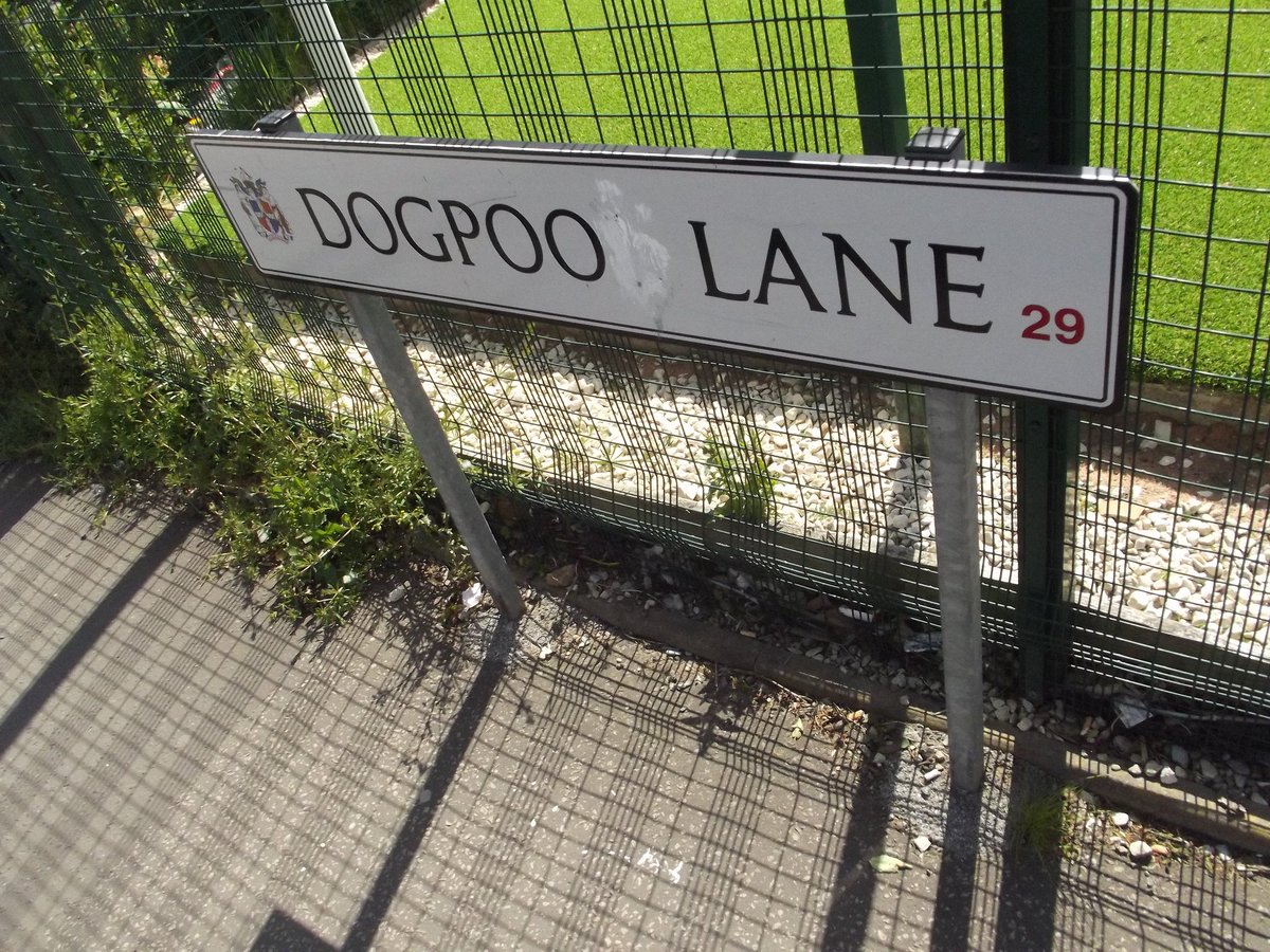 localnotail's tweet photo. @ichoosemag P.S. You forgot persistent street sign vandalism in the name of puerility #dogpoolane https://t.co/HLcIjGFikQ