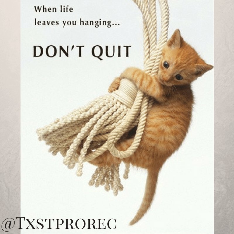 txstprorec's tweet photo. Never give up, never surrender bobcats. If this cat can hang on to this rope you can hang on to your grades. https://t.co/oqZykh3PF0