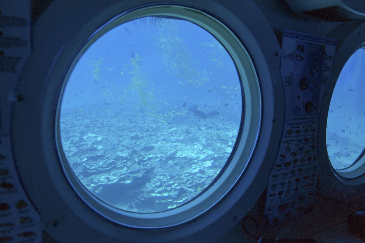 atlantishawaii's tweet photo. A room with a view. #AtlantisHawaii #Maui #subride #portholepeek #fishgalore #coralreef #oceanamazed https://t.co/W78ayTSXSI
