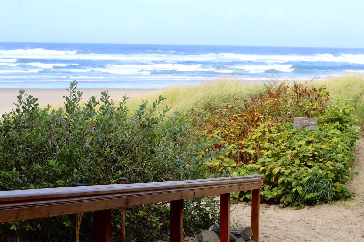 Just taking a little walk down to the beach from my room <a href="/surfsandresort/">Surfsand Resort</a>. 🌊😍🌤🐠💕 #Oregon