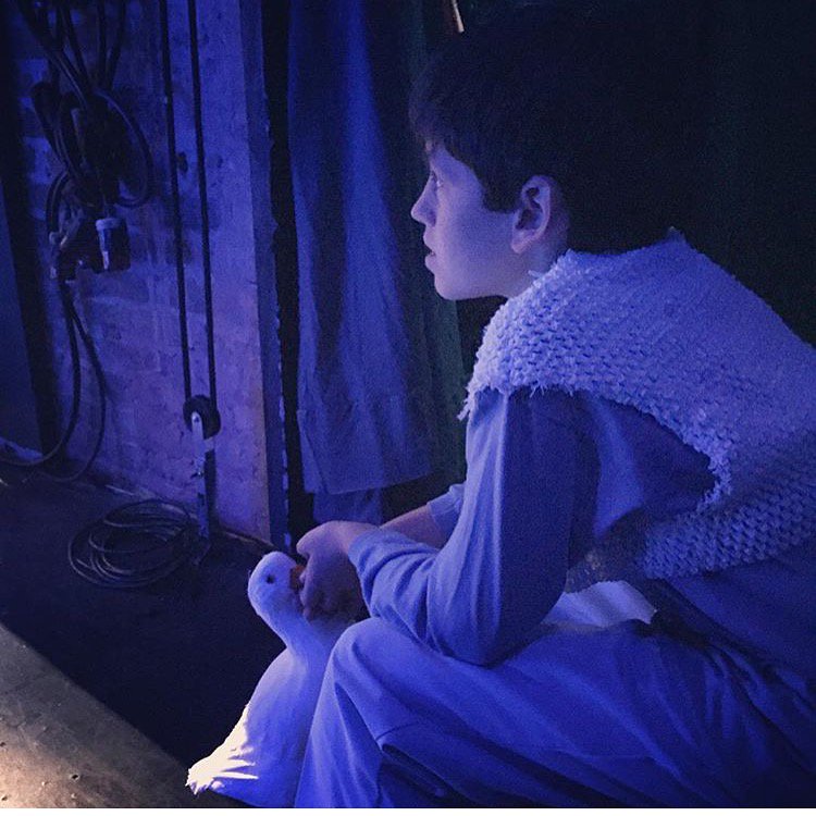 LePetitNOLA's tweet photo. Thanks @Matt2theJack for catching this backstage moment between a boy & his duck! #LPTPippin Buy tickets: https://t.co/lfwKT1oIsm https://t.co/KfKy0SHf3g