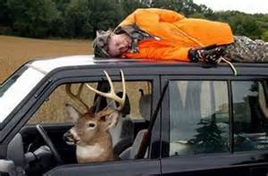 gigirules7's tweet image. #AvoidMixing Deer and Hunting