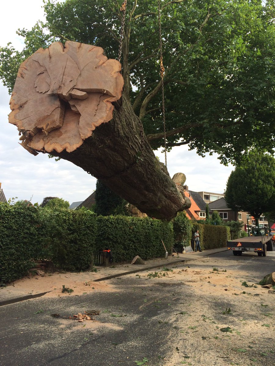 LBoomService's tweet image. Zo die kan aan zn welverdiende rust beginnen. #boom #specialistischwerk #mooiwerk