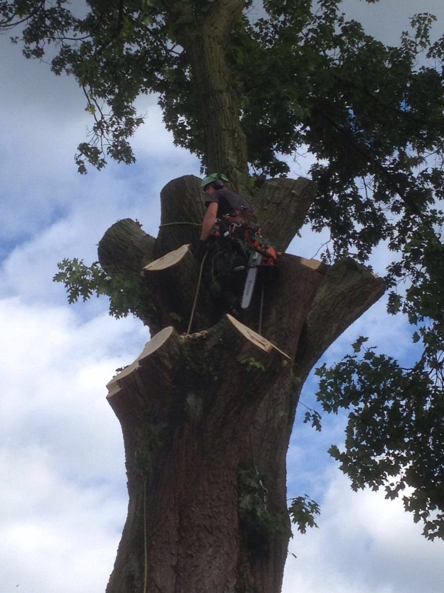 LBoomService's tweet image. Zo die kan aan zn welverdiende rust beginnen. #boom #specialistischwerk #mooiwerk