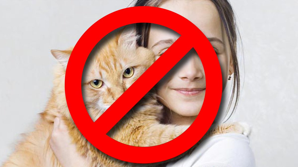 Cuddling with your cat can kill you bit.ly/2dbFsB2?utm_me… https://t.co/hz6IyCQdsc