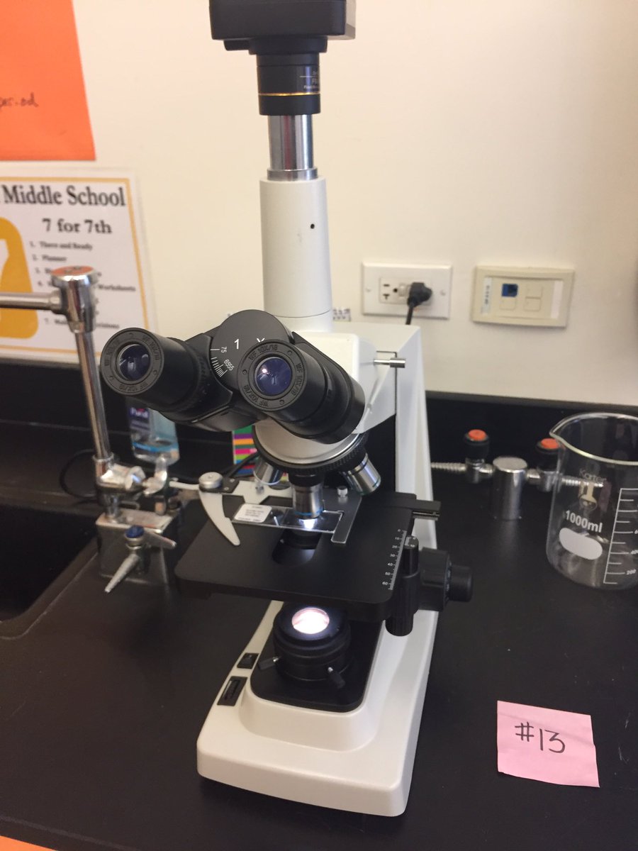 jennysalbergLB's tweet photo. New microscopes bring 7th grade science into the digital realm. Thanks @lbschoolpower for ur support #schoolpower https://t.co/Lic5vaMaV2