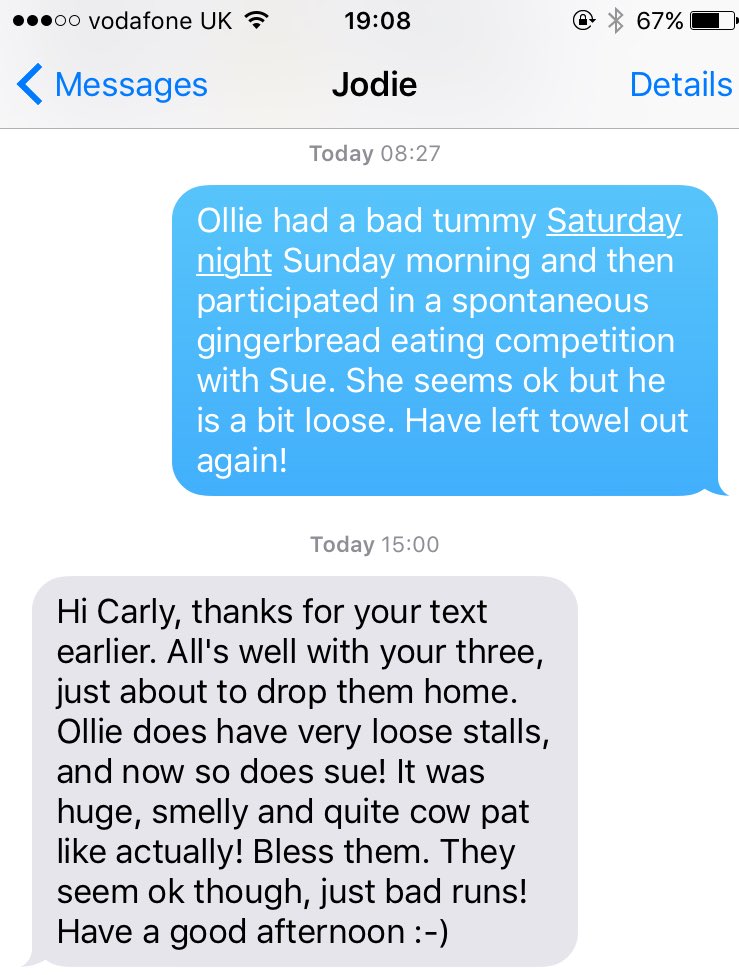 Grey_V_Train's tweet image. 🙈😷💩 #dogparentproblems #dogwalkerproblems