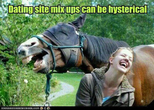 TheOwenMyers's tweet image. #AvoidMixing Internet dating, and horses, "you said stallion right?