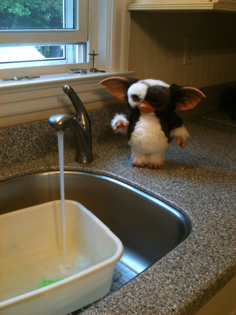stone4031's tweet image. #AvoidMixing Gizmo and water.