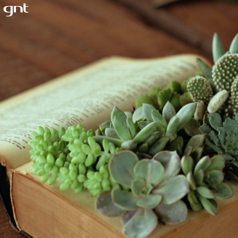 canalgnt's tweet photo. Quem diria que um livro antigo poderia virar um arranjo de plantas, hein? 😉 #MaisCorPorFavorNoGNT, às 19h30! https://t.co/ZcIrqywtQa
