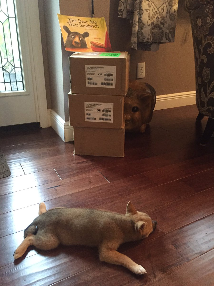 drltspalding's tweet photo. Look what arrived on my doorstep! So excited to serve over 100, 4 year olds! Shiba Inu not included! #Jumpstart2016 #ucf #readfortherecord 📚 https://t.co/r1bYd6UlpX