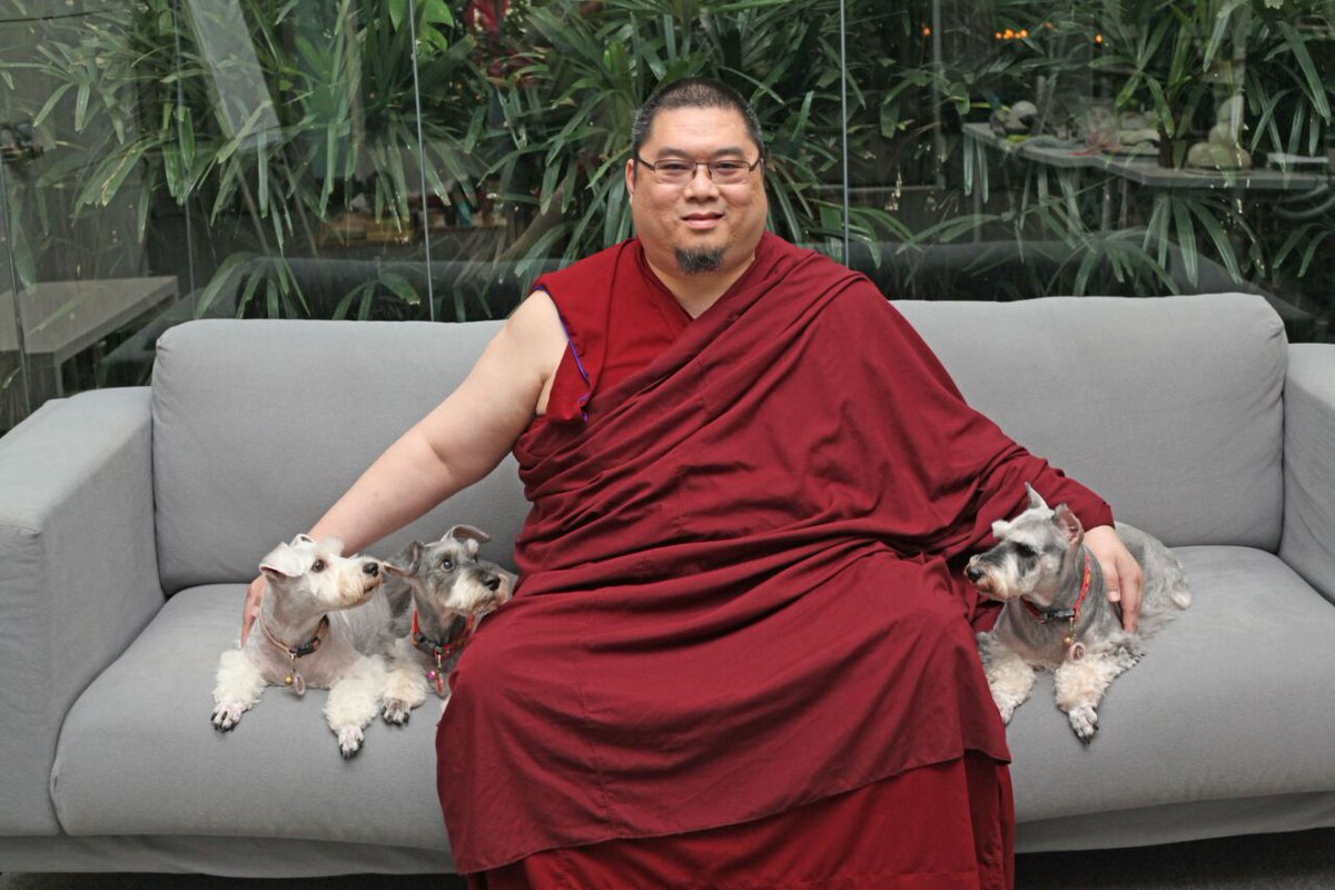 yekyee's tweet photo. Kechara's Spiritual Guide H. E. The 25th Tsem Rinpoche is animal lover. @tsemtulku
#compassion
#AnimalRights
#notcruel
#AdoptDontShop https://t.co/UfudpSyczK