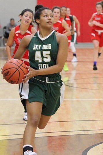 DiggsSky's tweet photo. 2020 Hamilton Southeastern HS guard @laurenmorris45 will be running with the Indy Magic https://t.co/5hGQLVlaC4