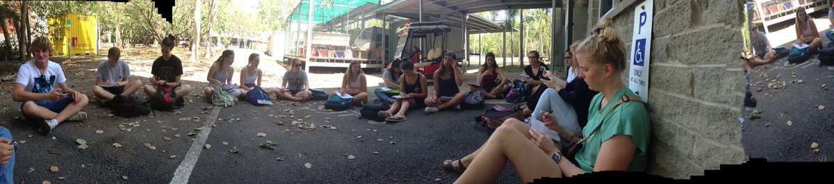 deborah_bower's tweet photo. Talking #communication with #toad acoustic traps and facial expressions in #dsbclass #behaviouralecology @jcu https://t.co/IA7M4xDSso
