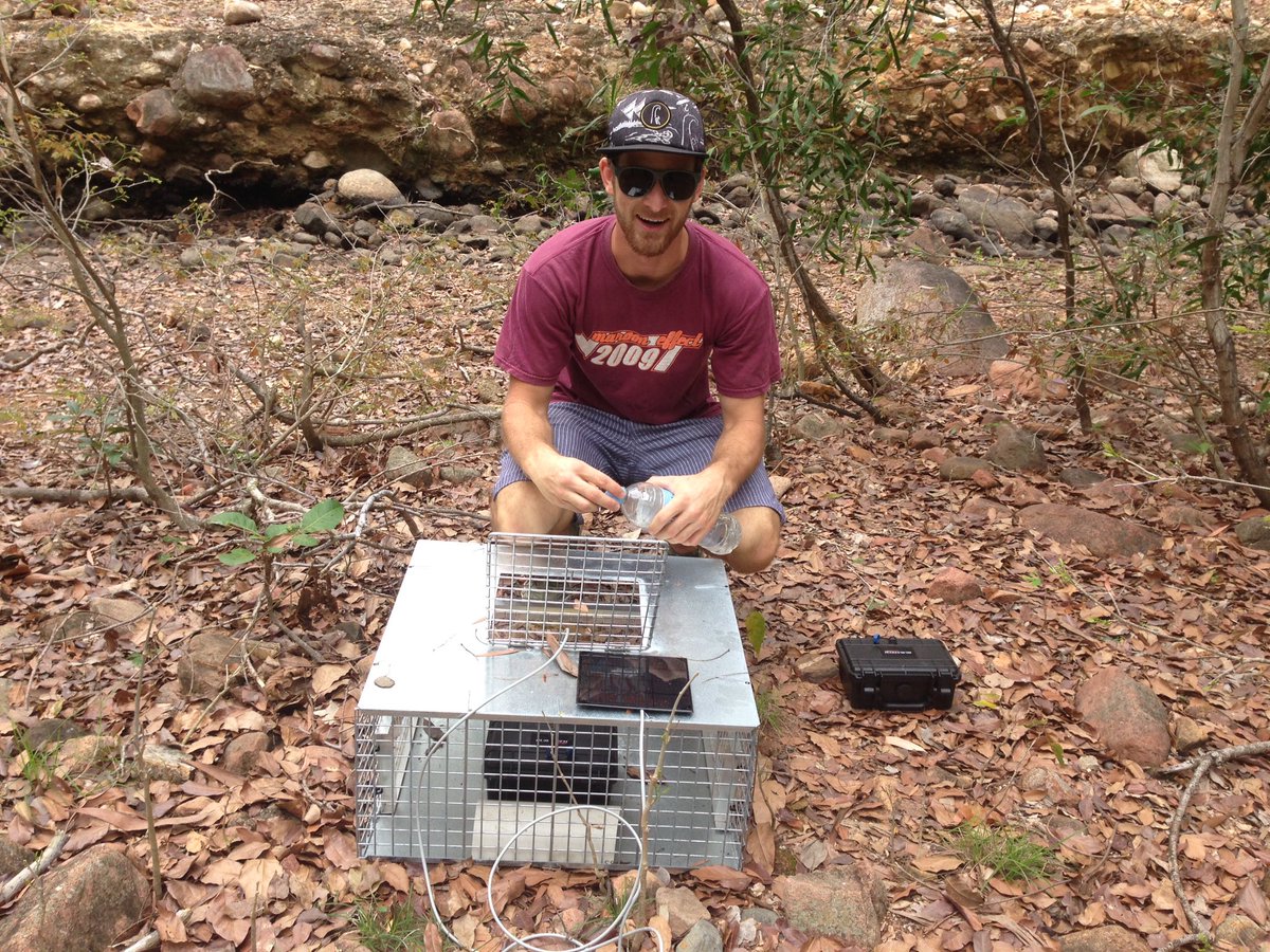 deborah_bower's tweet photo. Talking #communication with #toad acoustic traps and facial expressions in #dsbclass #behaviouralecology @jcu https://t.co/IA7M4xDSso