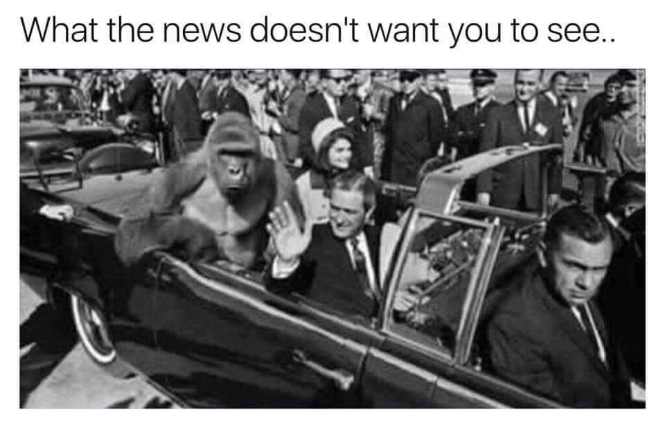 PromemetheusYT's tweet image. DELETE THIS
#harambe #memes
