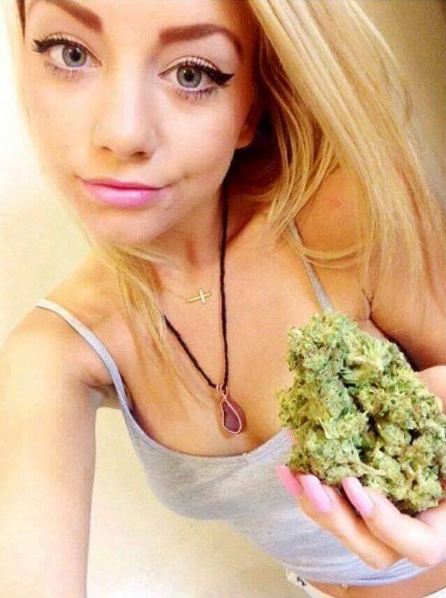 buds &amp; blondes🍁