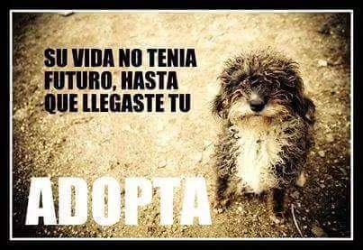¡¡¡Viva México!!! 🪅🎇🎉🇲🇽🇲🇽🇲🇽🎊🎆 tweet media