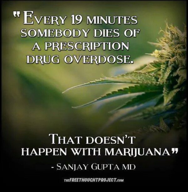 CannaFactsByNMJ's tweet photo. Dr. Gupta changed his mind because evidence DOES exist that Cannabis can provide safe and effective relief https://t.co/0WfPh59rkk