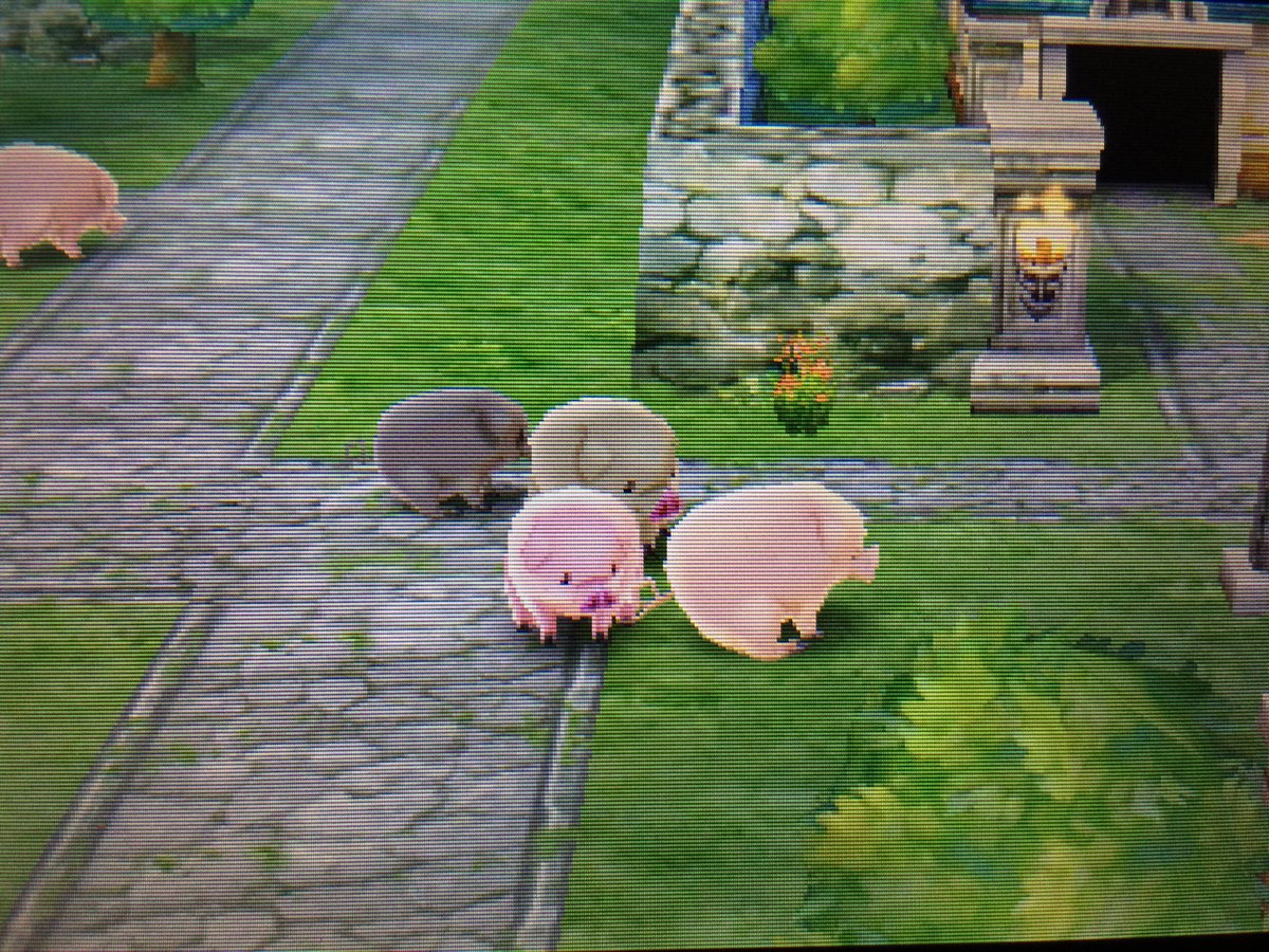 DQDragonsDen's tweet image. Pigging out in @DragonQuest VII. #time2slime