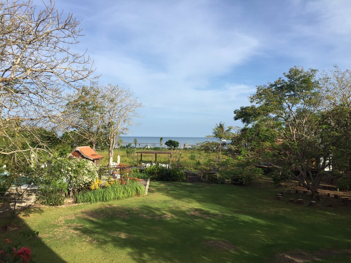 JengPOER's tweet photo. Lush and jungle green garden. The homeland of Komodo Dragon. #EastNusaTenggara #FloresTrip2016 #LabuanBajo https://t.co/tS85408FBr