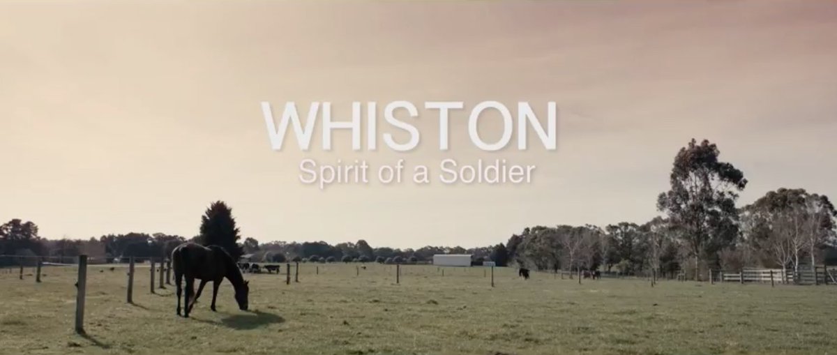 The King Zone tweet media