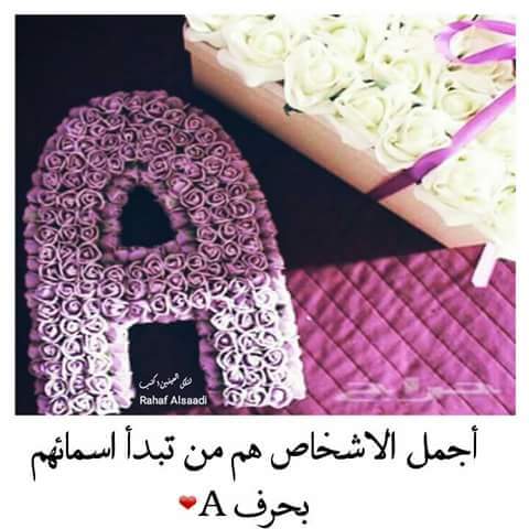 ملكة بغداد (@alimrur61) on Twitter photo 