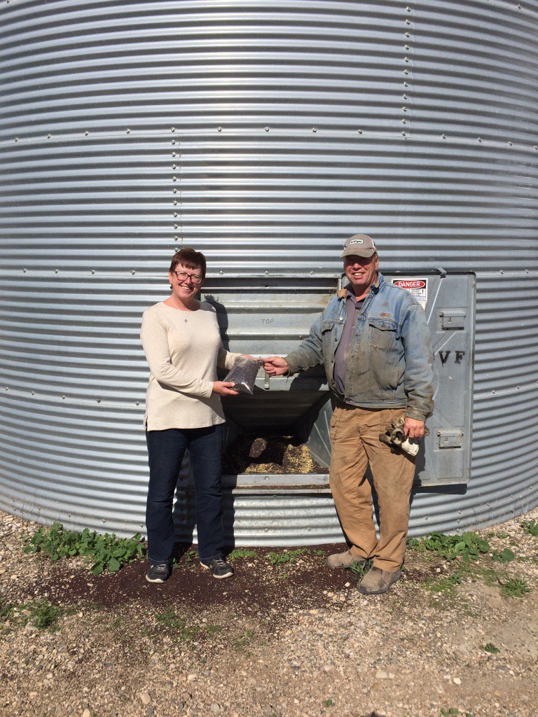 My parents Al &amp; Bev Garner with their bin full of 74-44 canola. #thankfulforfarming #blairs #DEKALB_Canada