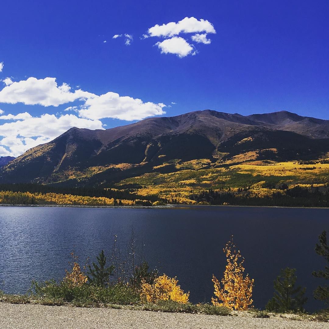 KellySchuknecht's tweet photo. Fall in Twin Lakes. #Forebay #Leadville #LeafPeeping https://t.co/qsvJju4KEM https://t.co/yvlJmmDRk1