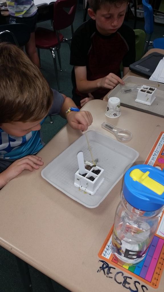 LPBlake2's tweet photo. Pollinating flowers #pccsk12 #Blake3G https://t.co/uWUQuphk51